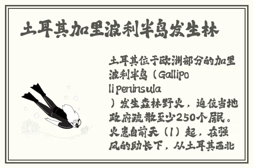 卡芙卡去内无布料开襟
